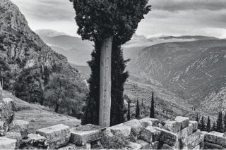 Η κομμουνιστική κοινότητα των δέντρων