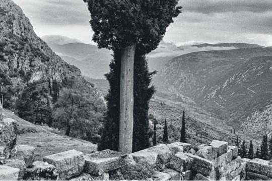 Η κομμουνιστική κοινότητα των δέντρων