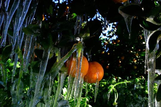 Υπό το μηδέν και ισχυρός παγετός στη Βόρεια Ελλάδα