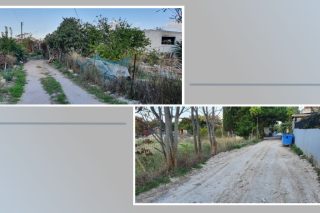 50 χρόνια μαραζώνει τo Πεύκο Πολίτη