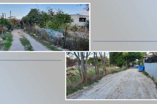 50 χρόνια μαραζώνει τo Πεύκο Πολίτη