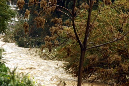 Νέα μελέτη για το Ρέμα Πικροδάφνης