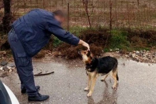 Νέα υπόθεση παραμέλησης σκύλου στα Χανιά – Αναζητείται ο δράστης