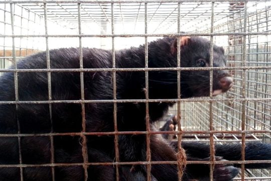 Κυβερνητική εμμονή με τα κολαστήρια γουνοφόρων ζώων