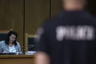 Η φαιά στρουθοκάμηλος