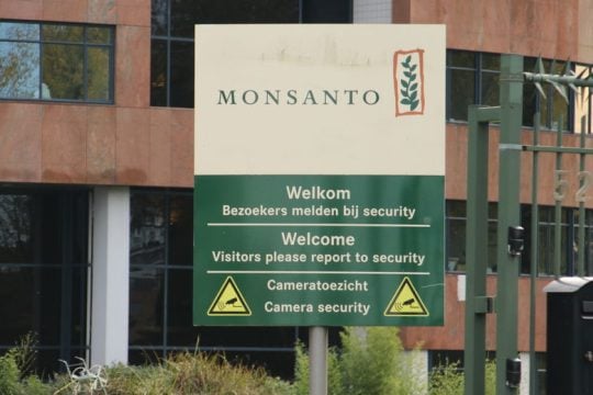 Κινέζος επιστήμονας παραδέχτηκε ότι έκλεψε λογισμικό της Monsanto