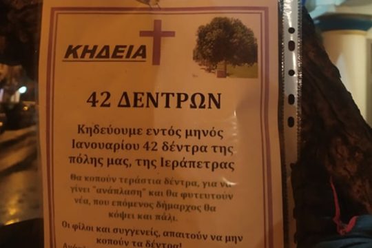 Διαμαρτύρονται οι δημότες της Ιεράπετρας για την κοπή δεκάδων δέντρων