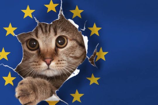 Μπορούν οι Βρυξέλλες να είναι… σέξι; (podcast)