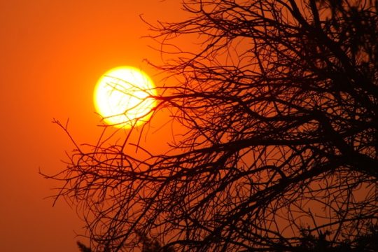 Θερμοκρασίες-ρεκόρ και στην Αυστραλία