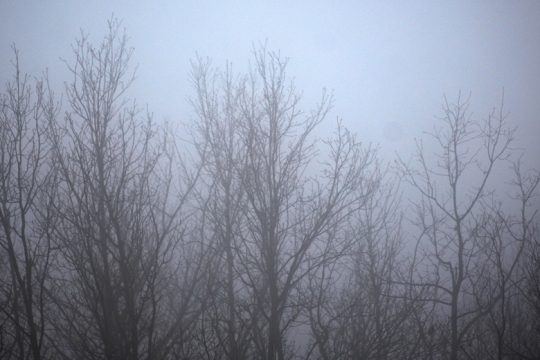Πώς ουρλιάζει κανείς «Βοήθειααααα» στα φαρσί;