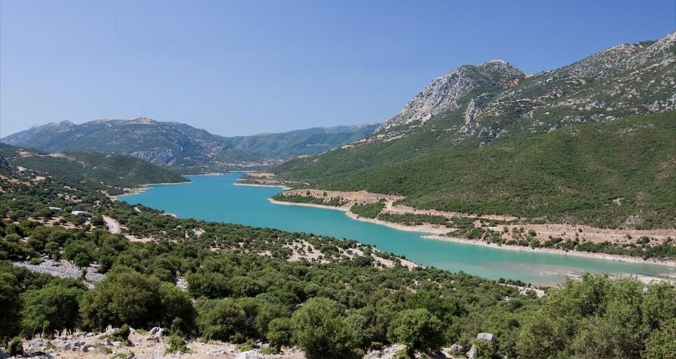 Μνηστήρες για το νερό της Αθήνας
