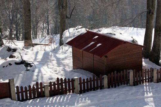 Σφοδρή χιονοθύελλα σε Βόλο και Πήλιο – Μάχη να κρατηθούν οι δρόμοι ανοιχτοί