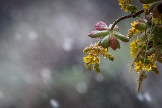 Κάτω από το μηδέν έπεσε ο υδράργυρος την Κυριακή