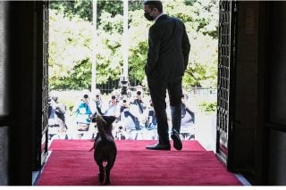 Μπροστά πηγαίνει ο αρχηγός και πίσω του…