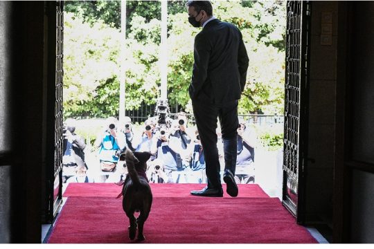 Μπροστά πηγαίνει ο αρχηγός και πίσω του…