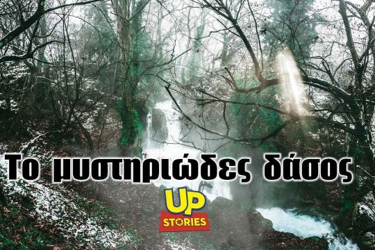 Το μυστηριώδες δάσος με τα δέντρα που χορεύουν
