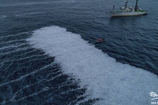 Σοκαριστικές εικόνες με δεκάδες χιλιάδες νεκρά ψάρια