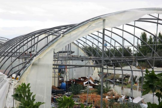 Ζημιές και καταστροφές από τους ισχυρούς ανέμους στην Ιεράπετρα