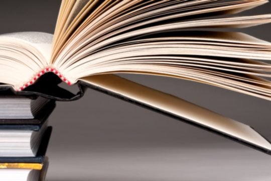 Οι μικροκέφαλες σαύρες στον χώρο του ασήμαντου