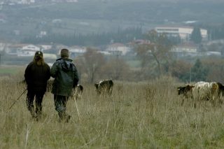 Αυτοπεποίθηση