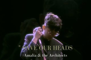 Save our Heads