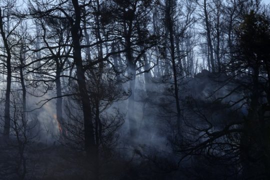 Οριοθετήθηκε η φωτιά στη Σάμο