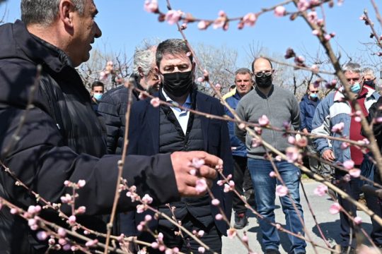 «Το α λα καρτ λεφτόδεντρο του Μητσοτάκη»