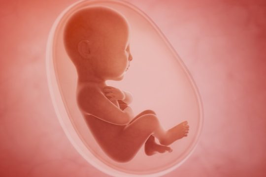 Έρευνα: Κίνδυνος άσθματος για τα κορίτσια από προγεννητική έκθεση στις δισφαινόλες