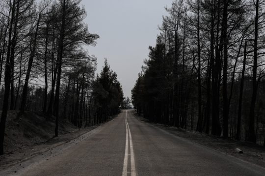 Οδός Πολιτικά – Λίμνη μέσω όρους Κανδηλίου
