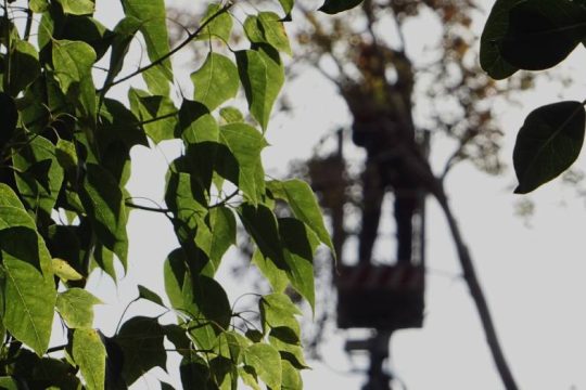 Εργολαβικός εργαζόμενος σκοτώθηκε πέφτοντας από ύψος στο πεζοδρόμιο