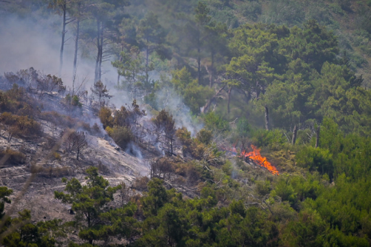 Φωτιά στη Σάμο: Εισηγούνται προληπτική εκκένωση χωριού