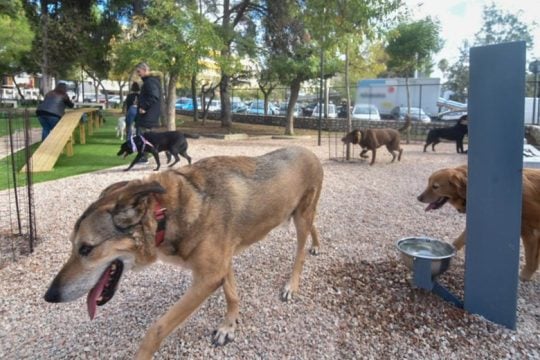 Εξωση της Φιλοζωικής από το Αλσος Φιλαδέλφειας