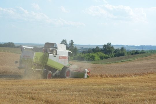 Καμπανάκι FAO: Εξαιρετικά αβέβαιη η επισιτιστική ασφάλεια λόγω του πολέμου
