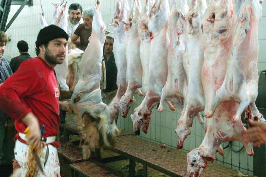 Πήραν πίσω τη βάναυση διάταξη για τη σφαγή ζώων χωρίς αναισθησία