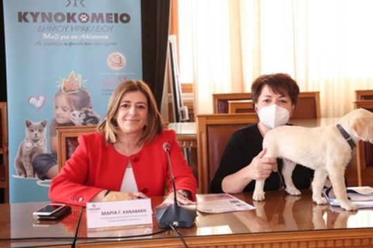 Καμπάνια ενημέρωσης και ευαισθητοποίησης από τον Δήμο Ηρακλείου για τα αδέσποτα