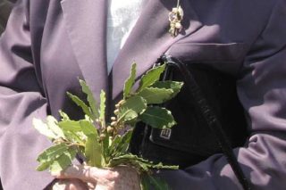 Γιαγιάδες, εγγόνες και ο νυμφίος