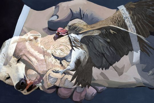 Μια έκθεση βασισμένη στα χαρακτηριστικά και στις αφηγηματικές δυνατότητες διαφόρων υλικών