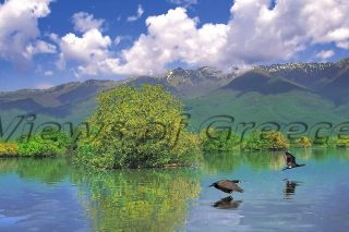 Λίμνη Κερκίνη, εαρινή πανδαισία