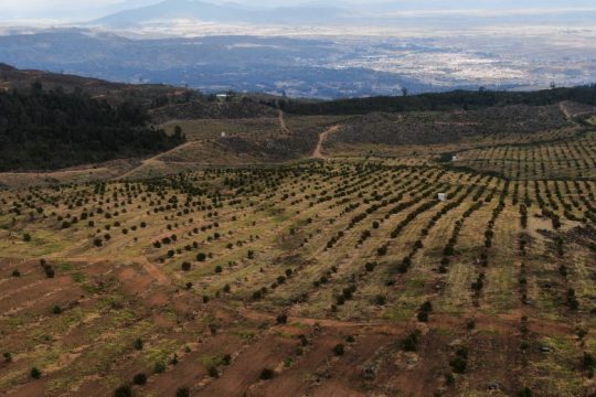 ΟΗΕ: Έχει υποβαθμιστεί το 40% των εδαφών του πλανήτη