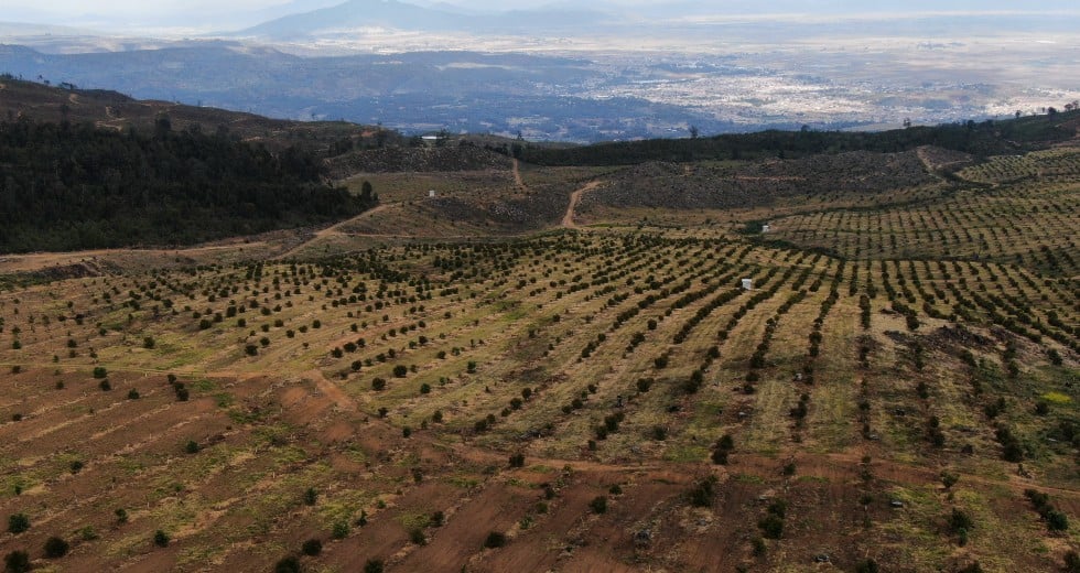 ΟΗΕ: Έχει υποβαθμιστεί το 40% των εδαφών του πλανήτη