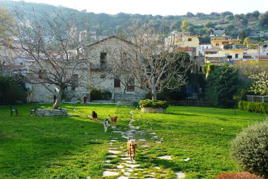 Ηράκλειο: Συναυλίες για τα 40 χρόνια του μουσικού εργαστηρίου «Λαβύρινθος»