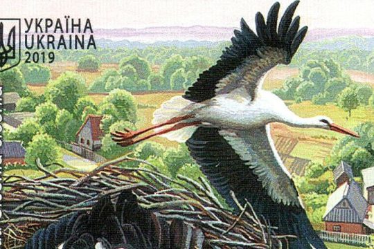 Κακή τύχη και δυστυχία φέρνει ο διωγμός των πελαργών…