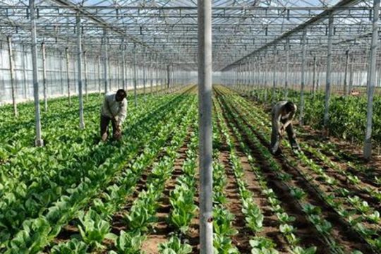 Παράταση προθεσμίας για θερμοκήπια και μεταποίηση γεωργικών προϊόντων