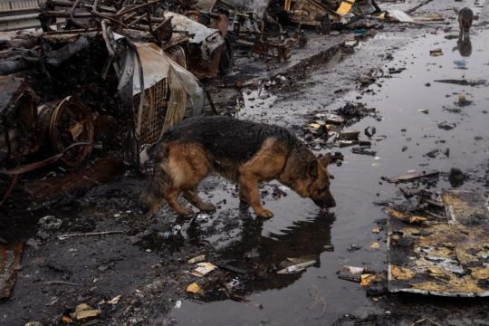 Εκταφή των πτωμάτων στην Μπούτσα ζητά ο ΟΗΕ