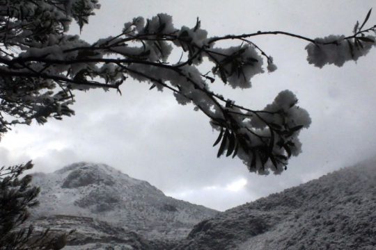 Σε χαμηλά επίπεδα ρεκόρ η χιονοκάλυψη στην Ευρώπη
