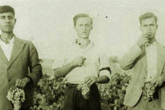 «Τα Ριζά» στο Κέντρο Ελέγχου Τηλεοράσεων