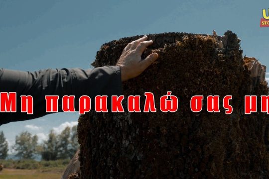 Βίντεο ντοκουμέντο από την άνευ προηγουμένου αποψίλωση των ελληνικών δασών