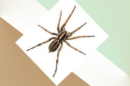 Και όμως, μας είναι χρήσιμες!