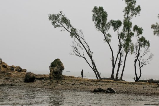 Δεκάδες νεκροί και εκατομμύρια εκτοπισμένοι από πλημμύρες σε Ινδία, Μπαγκλαντές