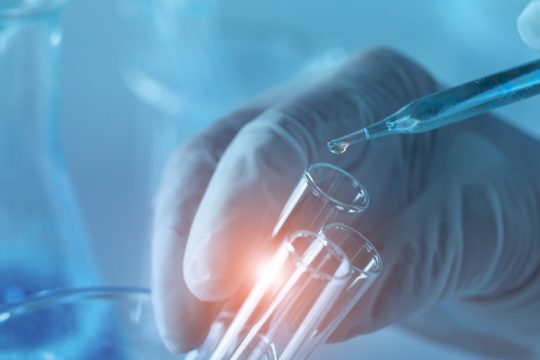 Ευλογιά των πιθήκων: Τι αναμένει ο ΠΟΥ για την ασθένεια